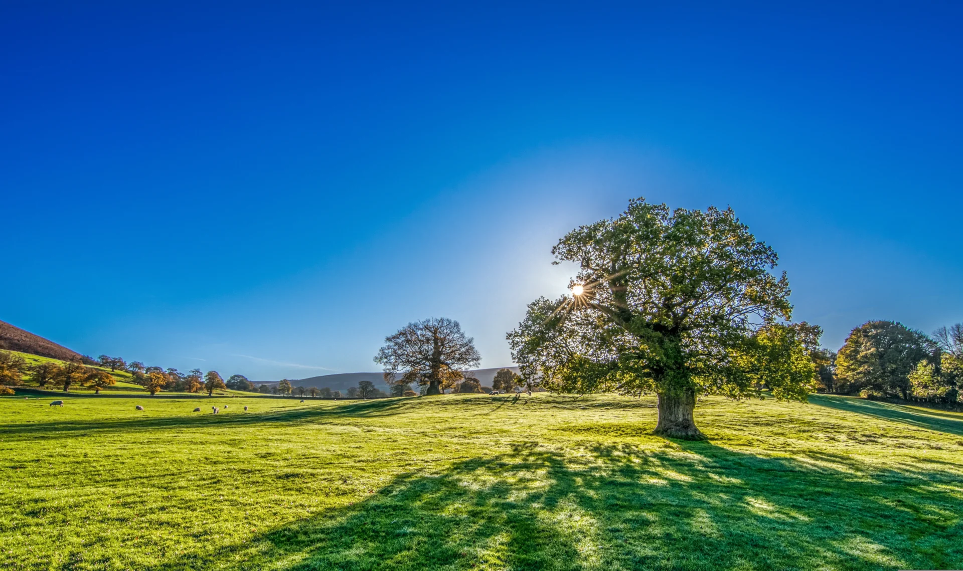 Je li proljetno sunce opasno? Evo što trebate znati